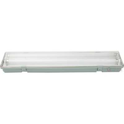 CEILING LAMP IP65 2X36W WITH NEON