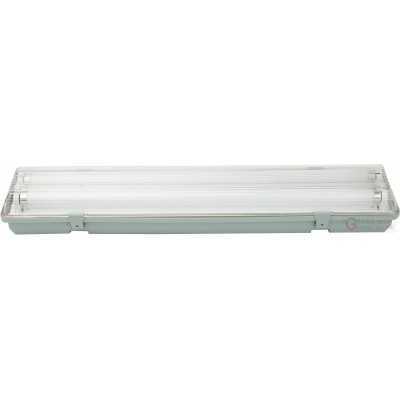 PLAFONIERA REGLETTE IP65 2X36W CON NEON 