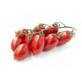 PICCADILLY TOMATO IN POLYSTEROL OF 84 PLANTS