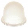 WALBRO PRIMER - 12 OF 15