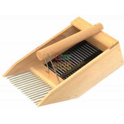 COLLECT BLUEBERRIES AND BERRIES IN WOOD