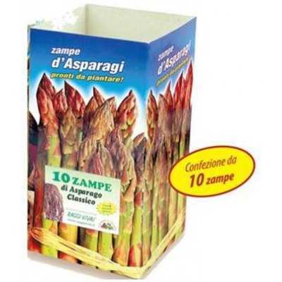 LEGGED ROOTS OF ASPARAGUS IN PACK OF 10 CUBS