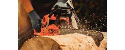Chainsaws wide range of prices and special offers