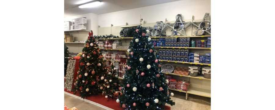 Choinki Bożonarodzeniowe Nataluna | Realistyczne, Ośnieżone i Slim – Agraria Gioiese