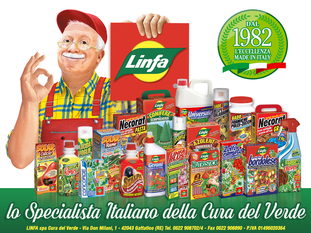Prodotti Linfa