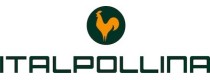ITALPOLLINA